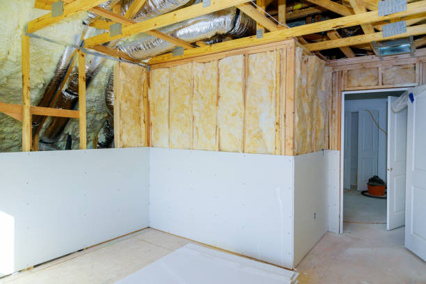 Best Insulation Maintenance and Repair in Deer Park, TX