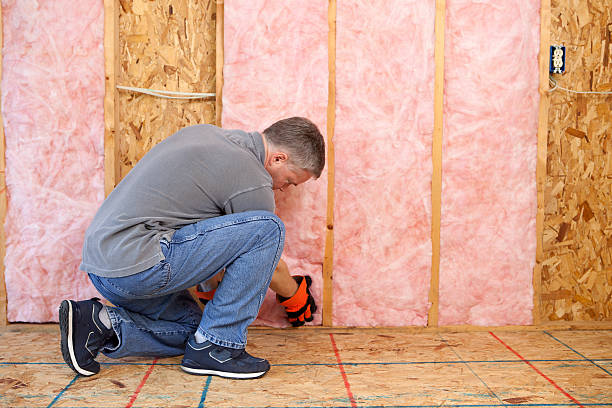 Best Types of Insulation in Deer Park, TX
